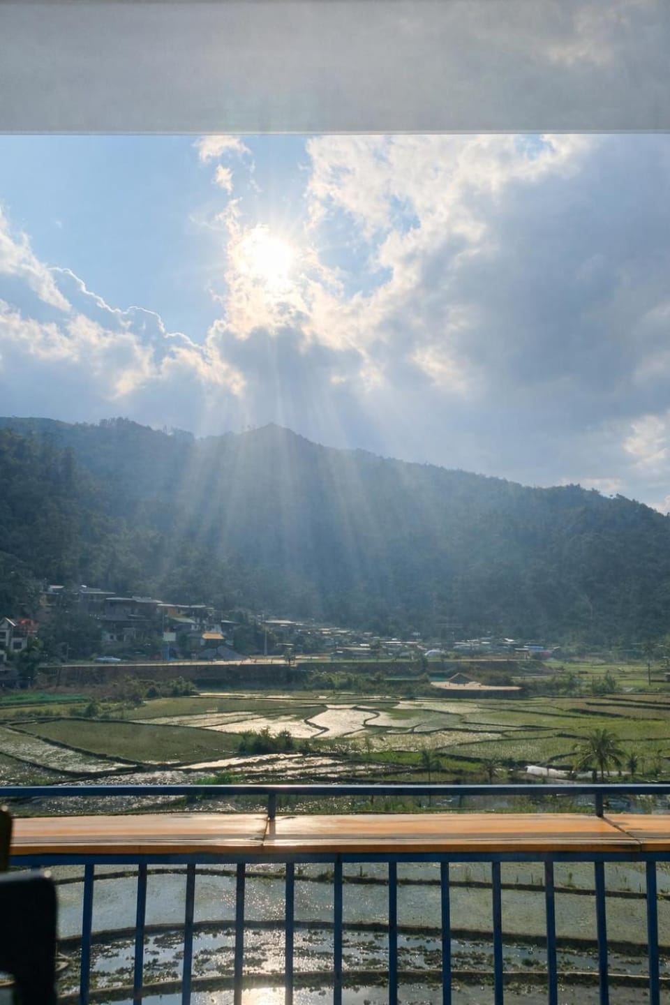 View