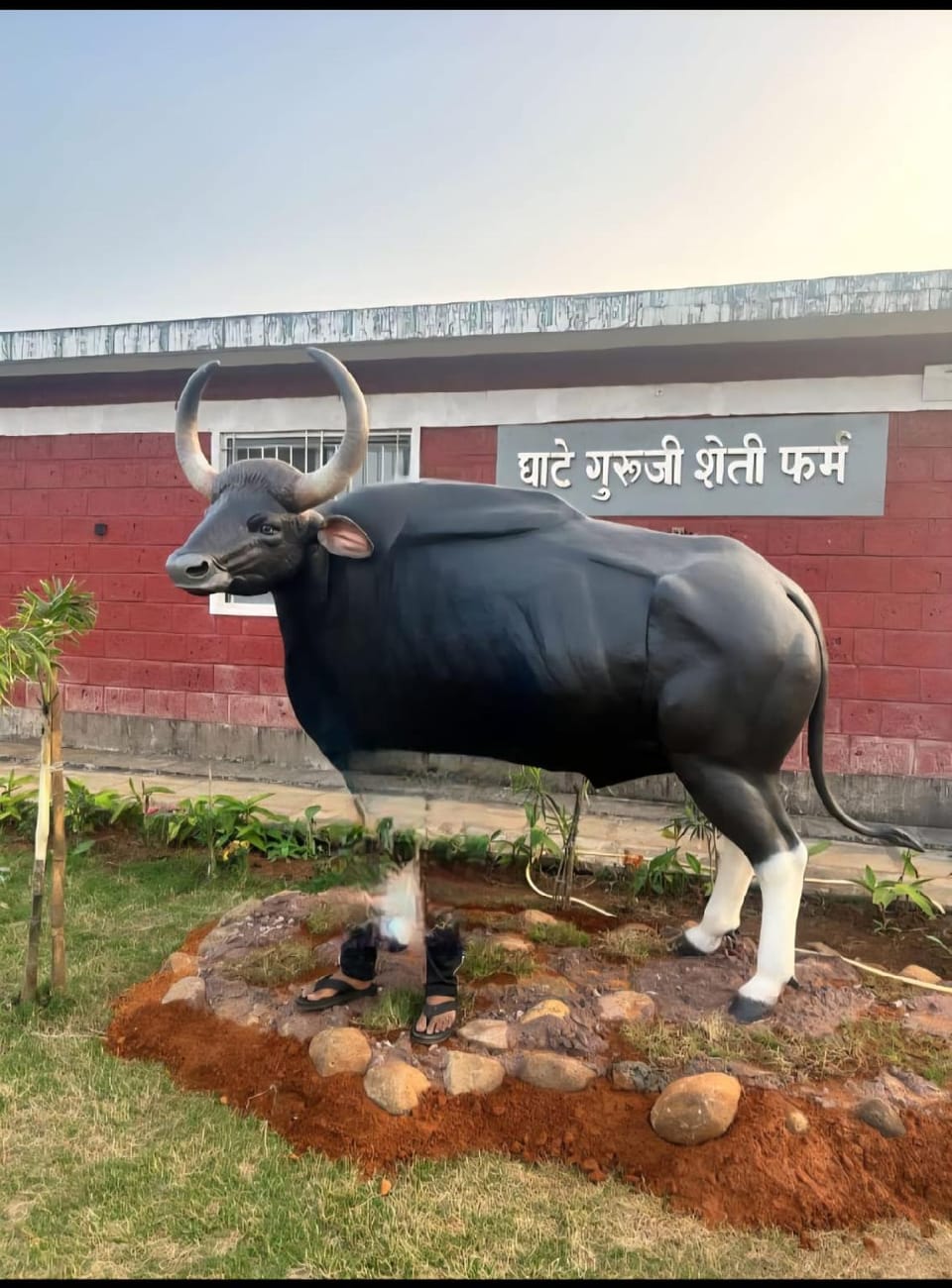 Bison Farm Stay Hotel in Maharashtra
