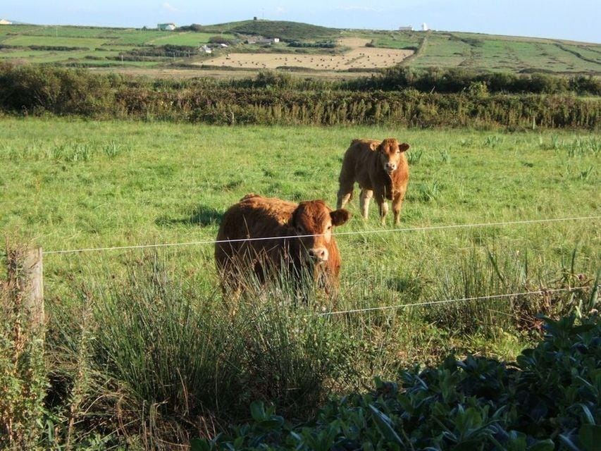 Glencarrig B&B Hotel in County Clare