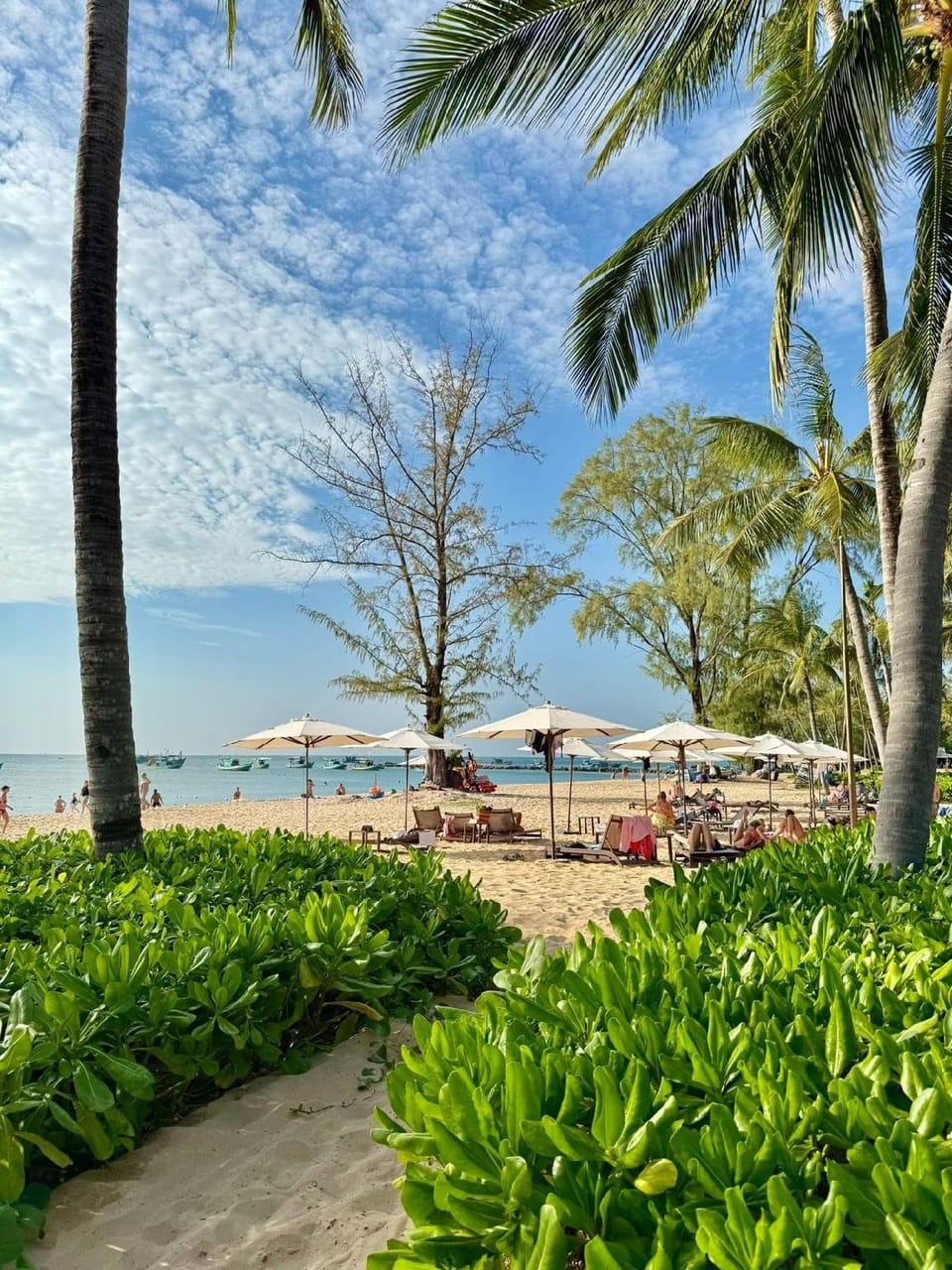 MK Hotel Phú Quốc Hotel in Phu Quoc