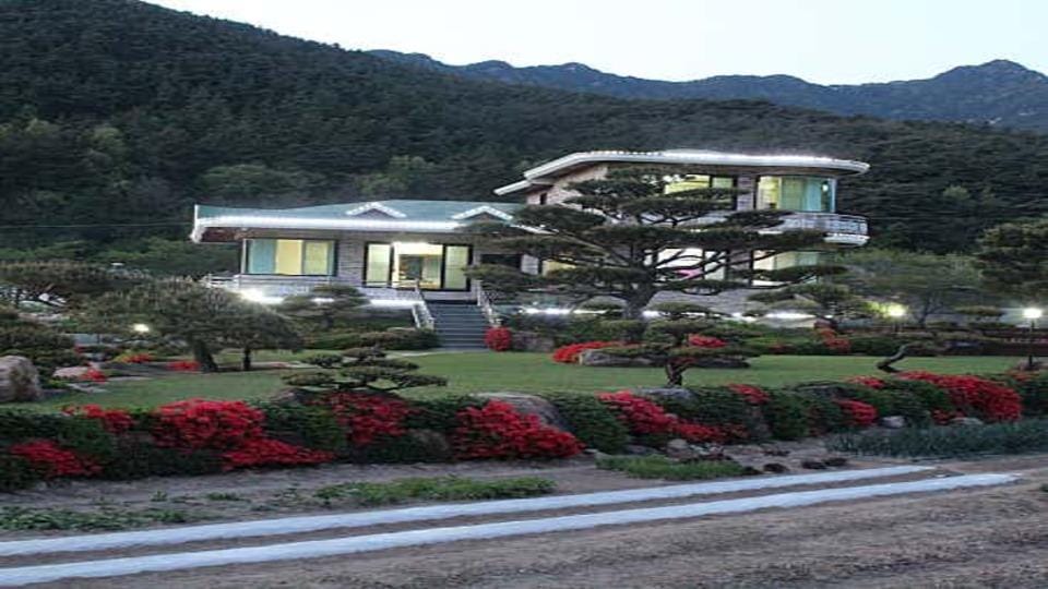 Changnyeong Pine Tree Landscape Pension Hotel in South Korea