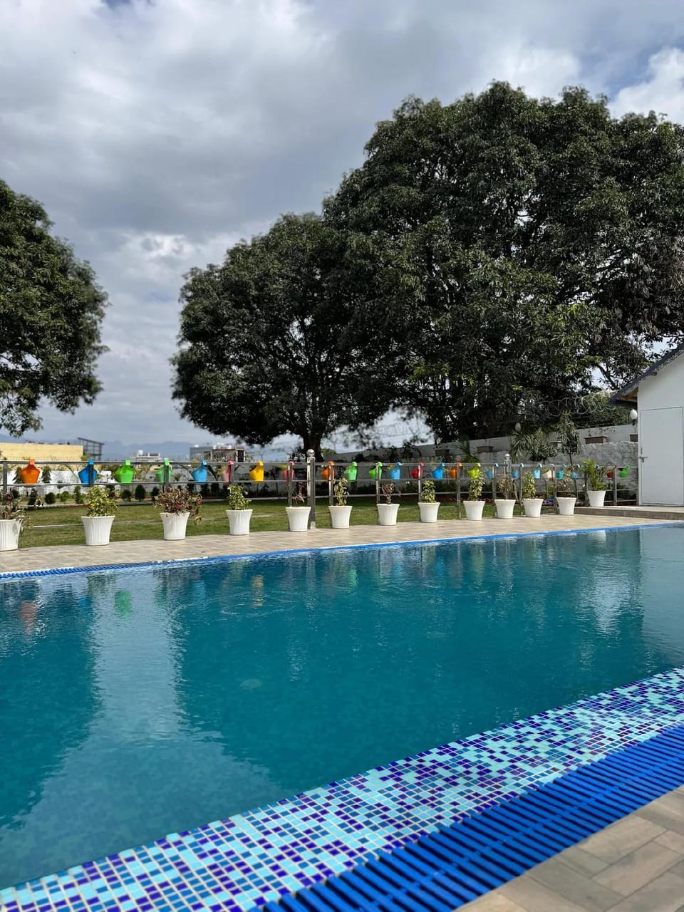 Swimming pool [outdoor]