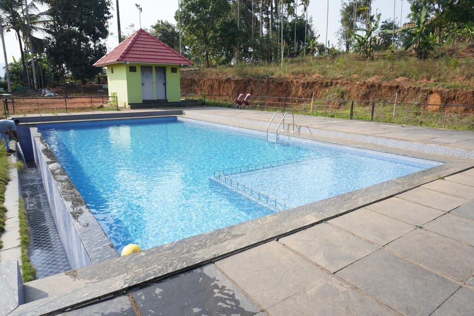 Swimming pool [outdoor]