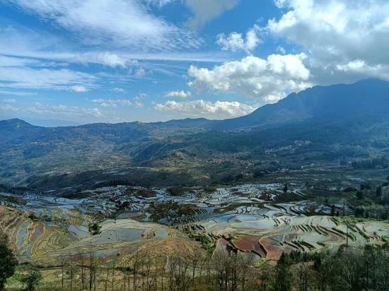 Niangjia Homestay Hotel in China