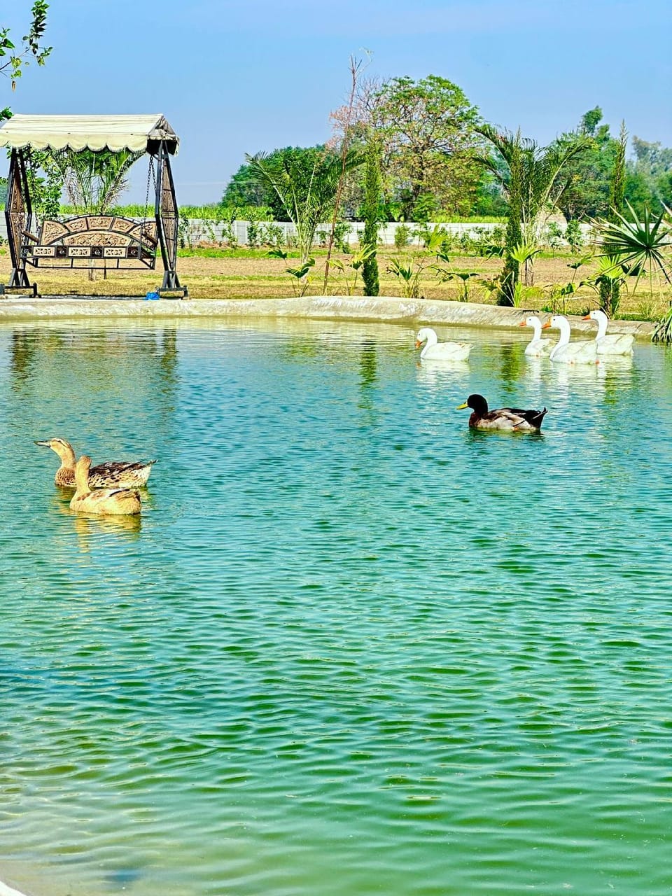 Countryside Heaven Farm Hotel in Punjab, India