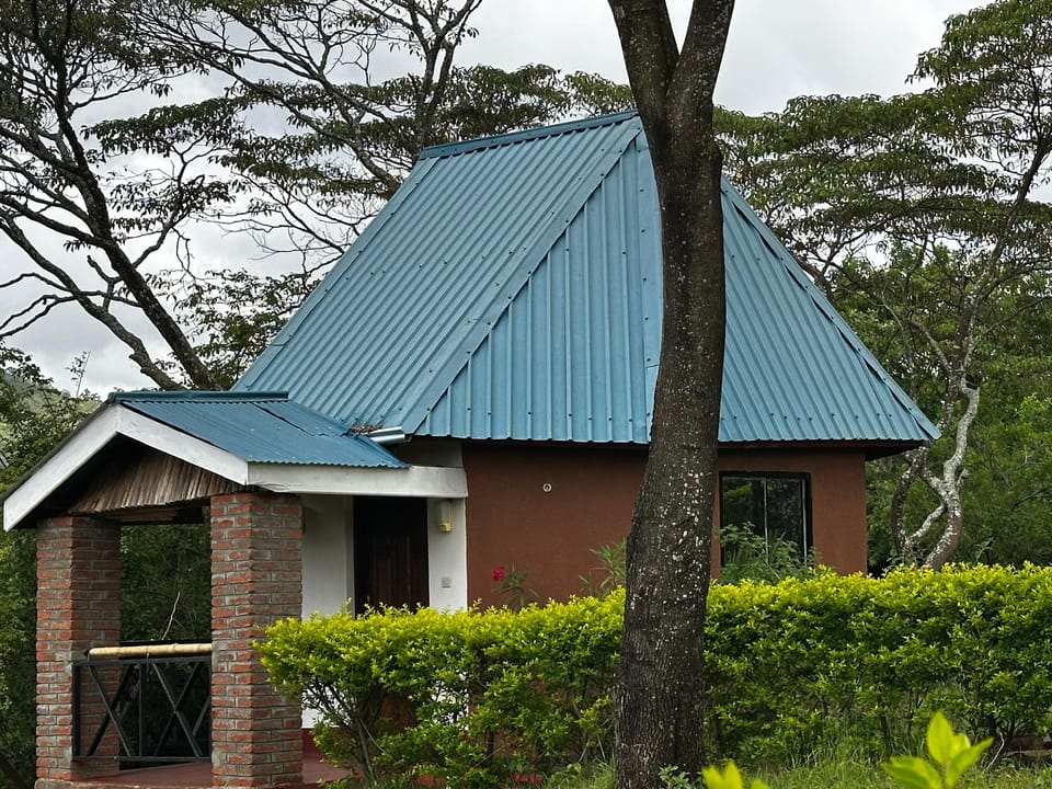 Green Forest Lodges Lodge in Kenya