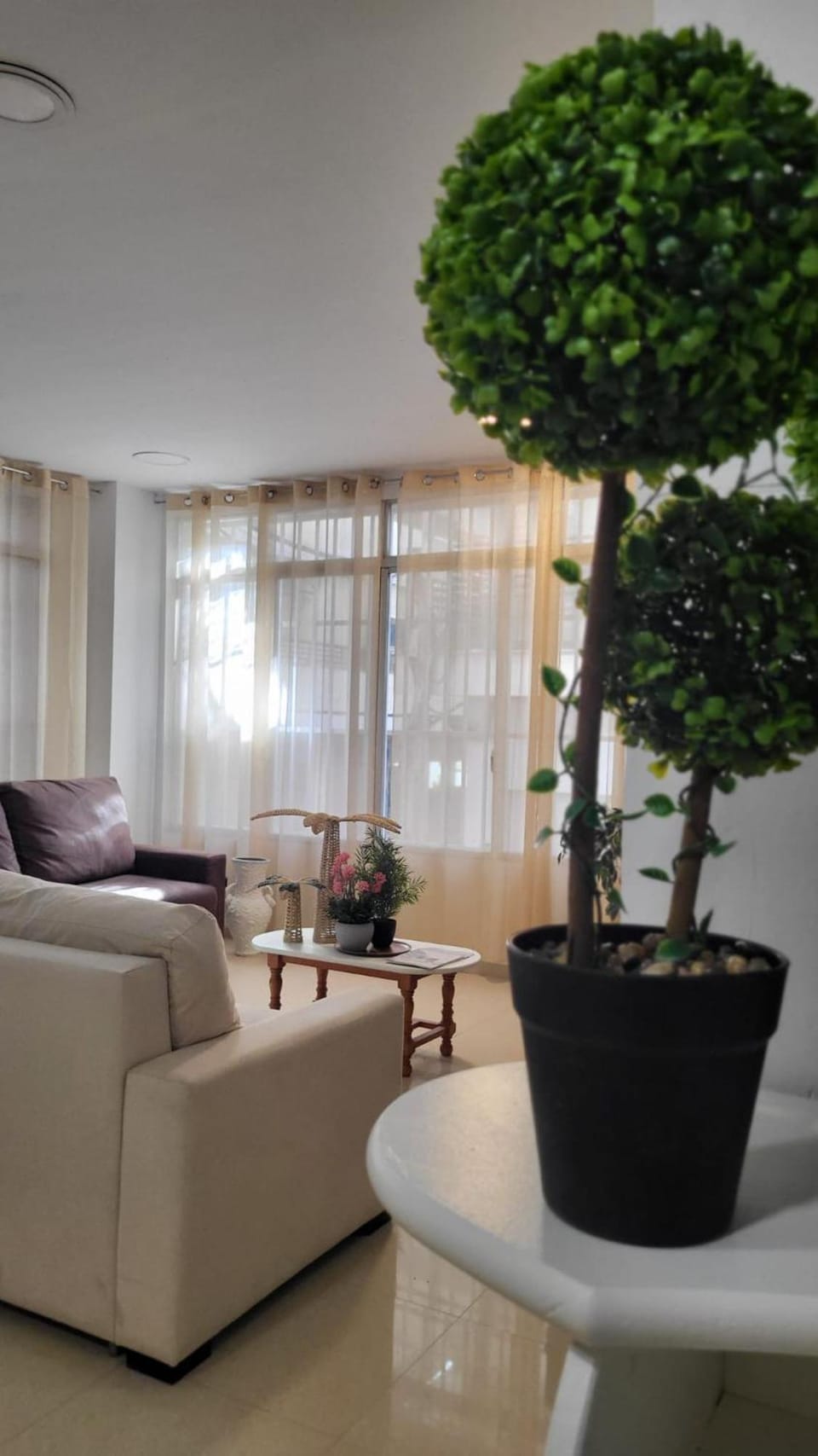 Hotel Moli Beach Apartment hotel in Benidorm