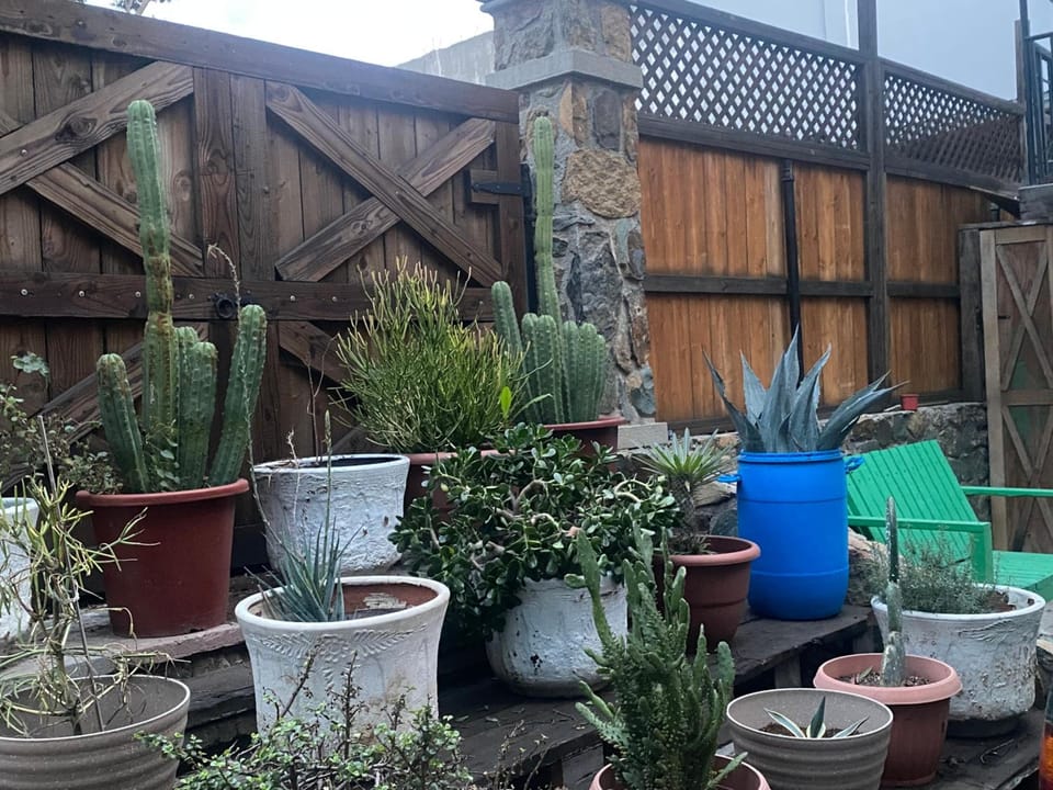 Hotel Del Bosque Hotel in Tijuana