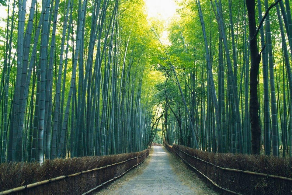 Minshuku Takenoya Hotel in Japan