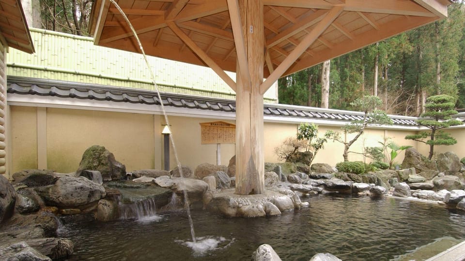 Ryokan Narita Onsen Hotel in Japan
