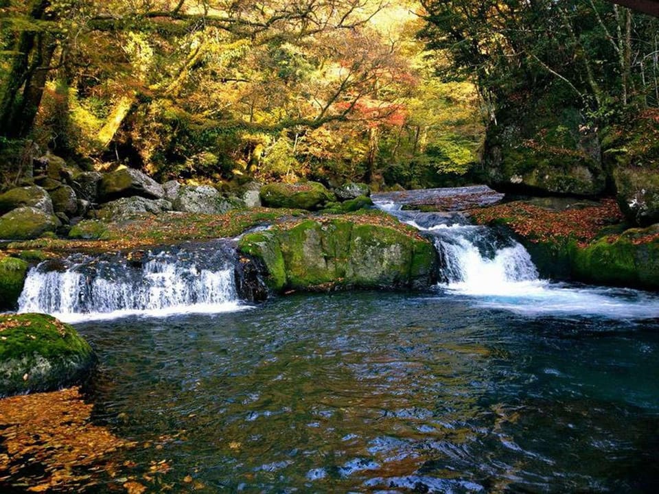 Shiroyamaso Hotel in Japan