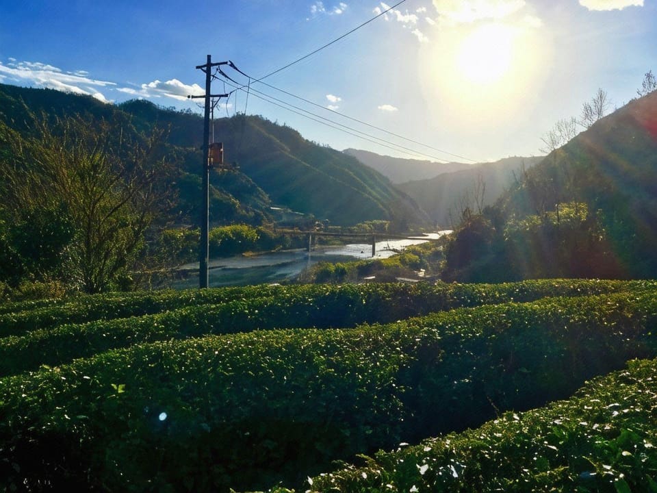 Kappa Backpackers Hotel in Japan