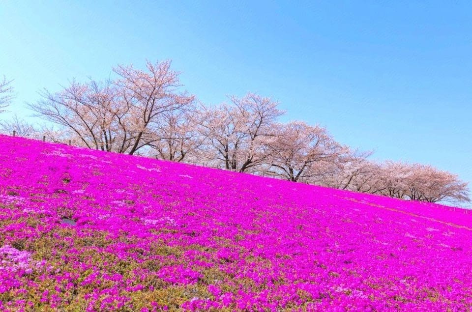 Mikazuki Akabane Hotel in Saitama Prefecture