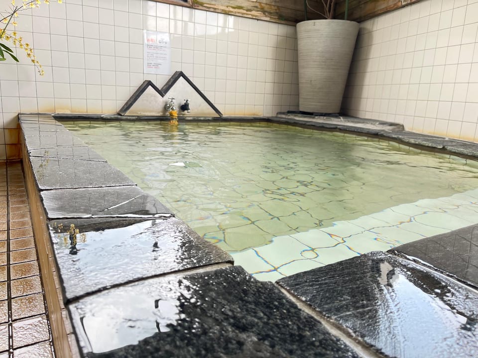 Tozanguchi Onsen Hotel in Japan