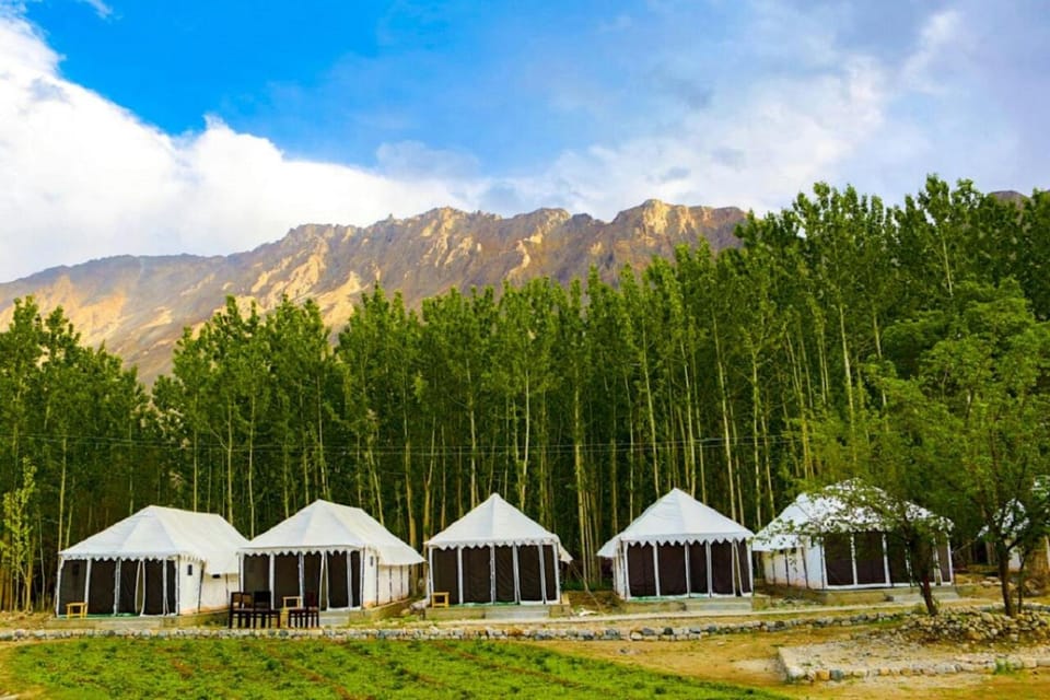 Lumbini Camp Hunder, Nubra Valley Hotel in India