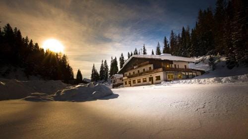 Dolomiti Des Alpes Hotel in Trentino-South Tyrol