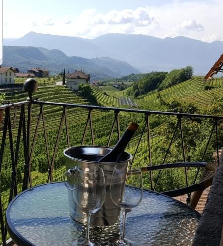 Ansitz Strengherrnhof Hotel in Trentino-South Tyrol