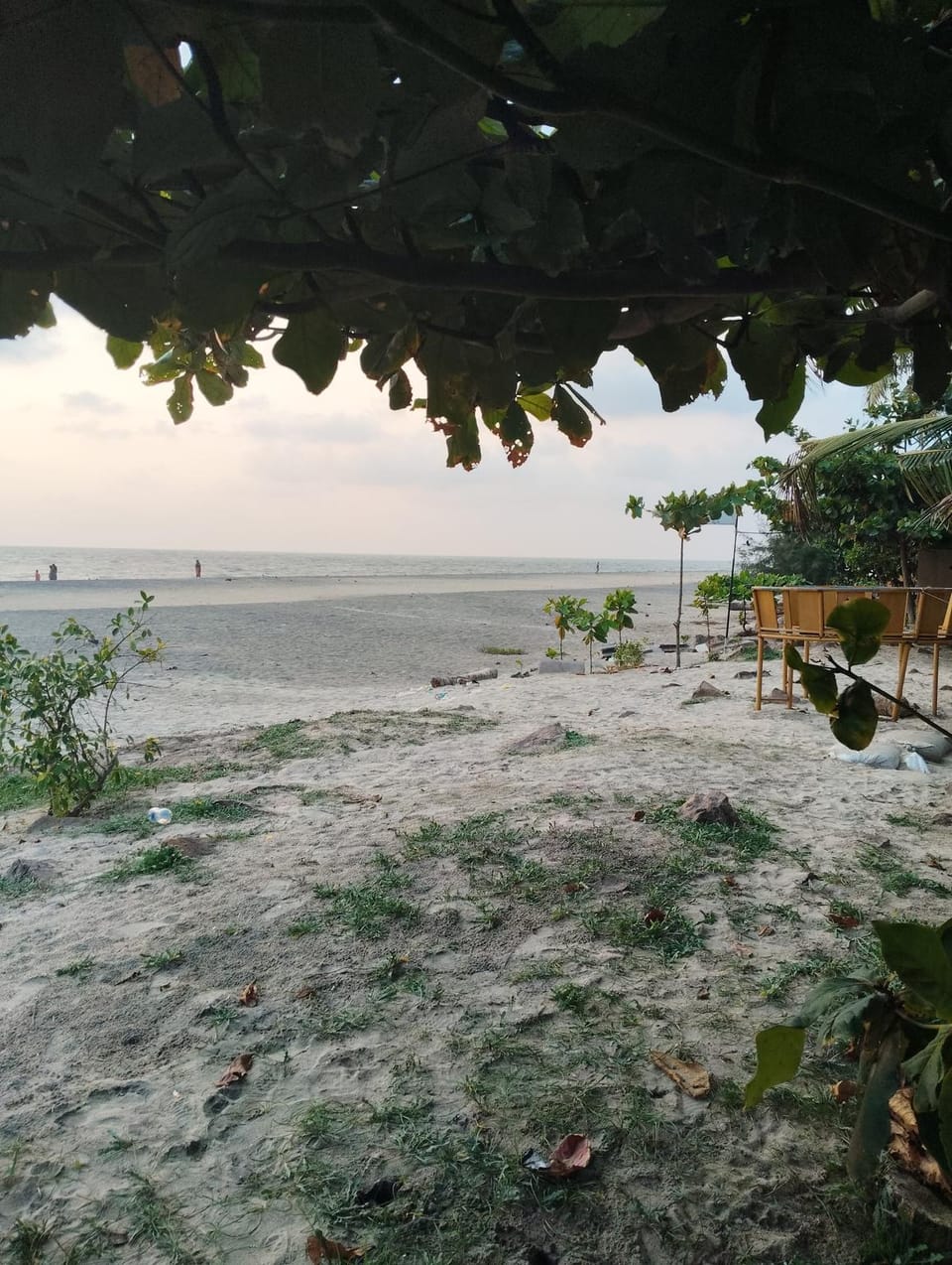 Havana Beach Villa Bed and Breakfast in Alappuzha