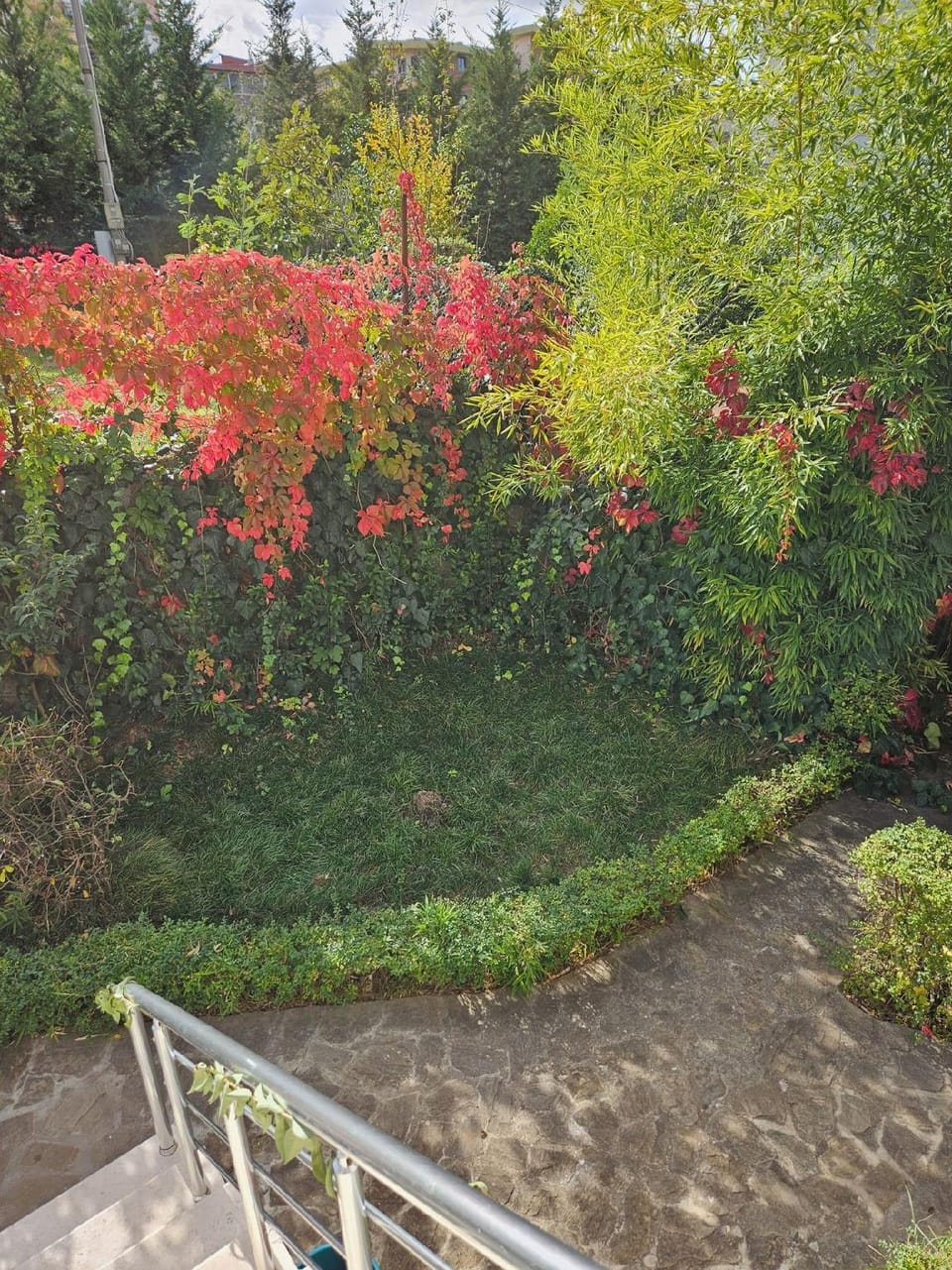 Golden Flower Hotel Hotel in Tirana