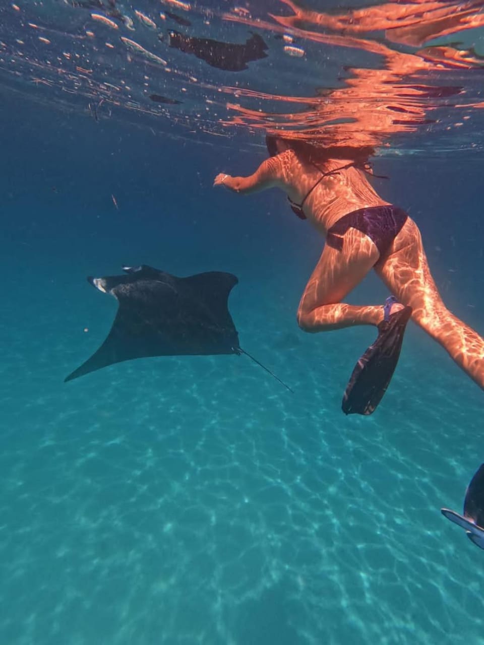 Island Scuba Hotel in Maldives