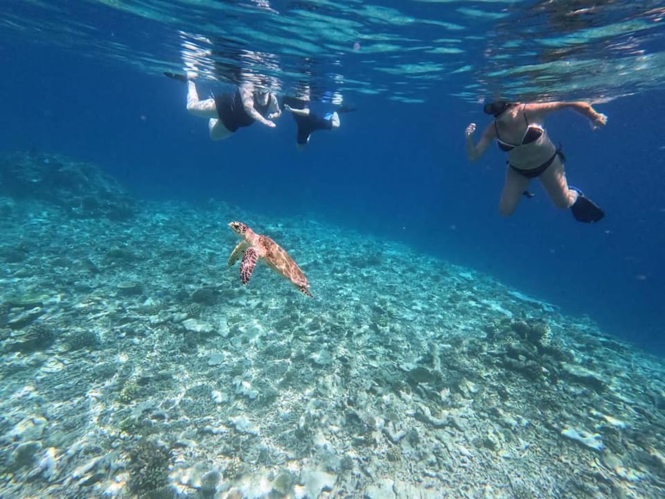 Island Scuba Hotel in Maldives