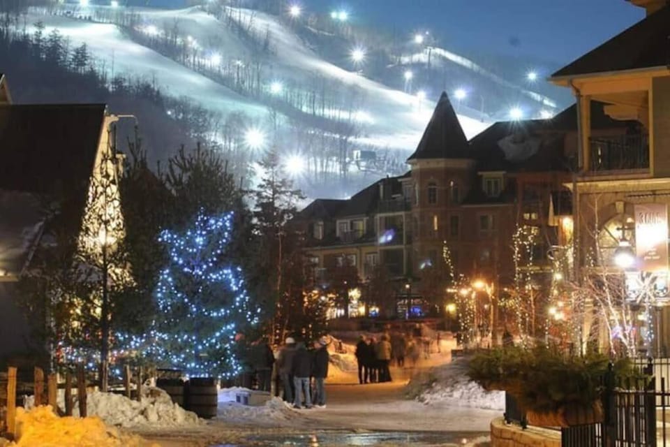 Slopeside Sanctuary Hotel in Grey Highlands