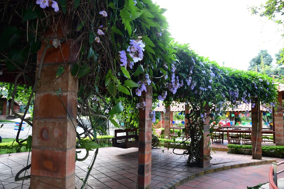 Hotel Serrano Martins Hotel in State of Rio Grande do Norte, Brazil