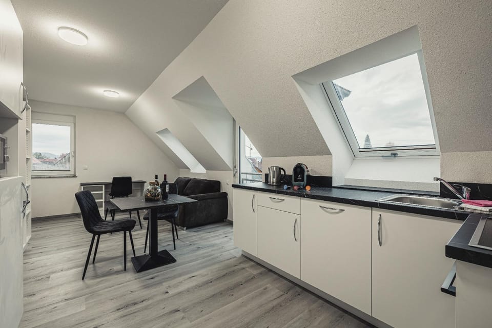Heimbach Apartments Renchen Hotel in Ortenau