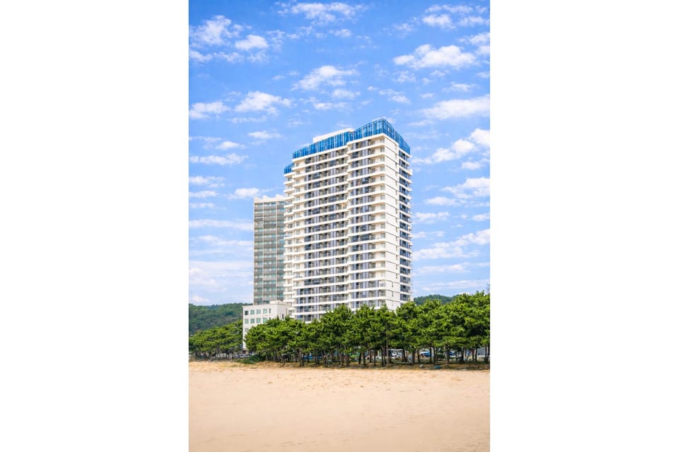 Yangyang Cohost Studio Hotel in South Korea