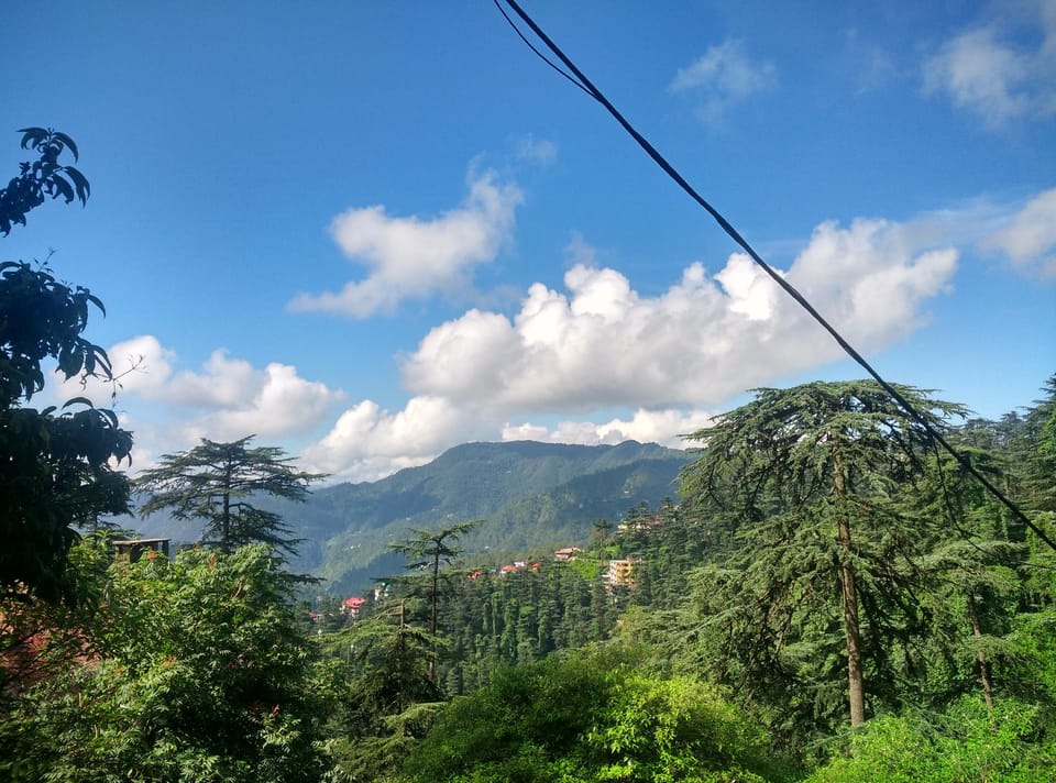 View