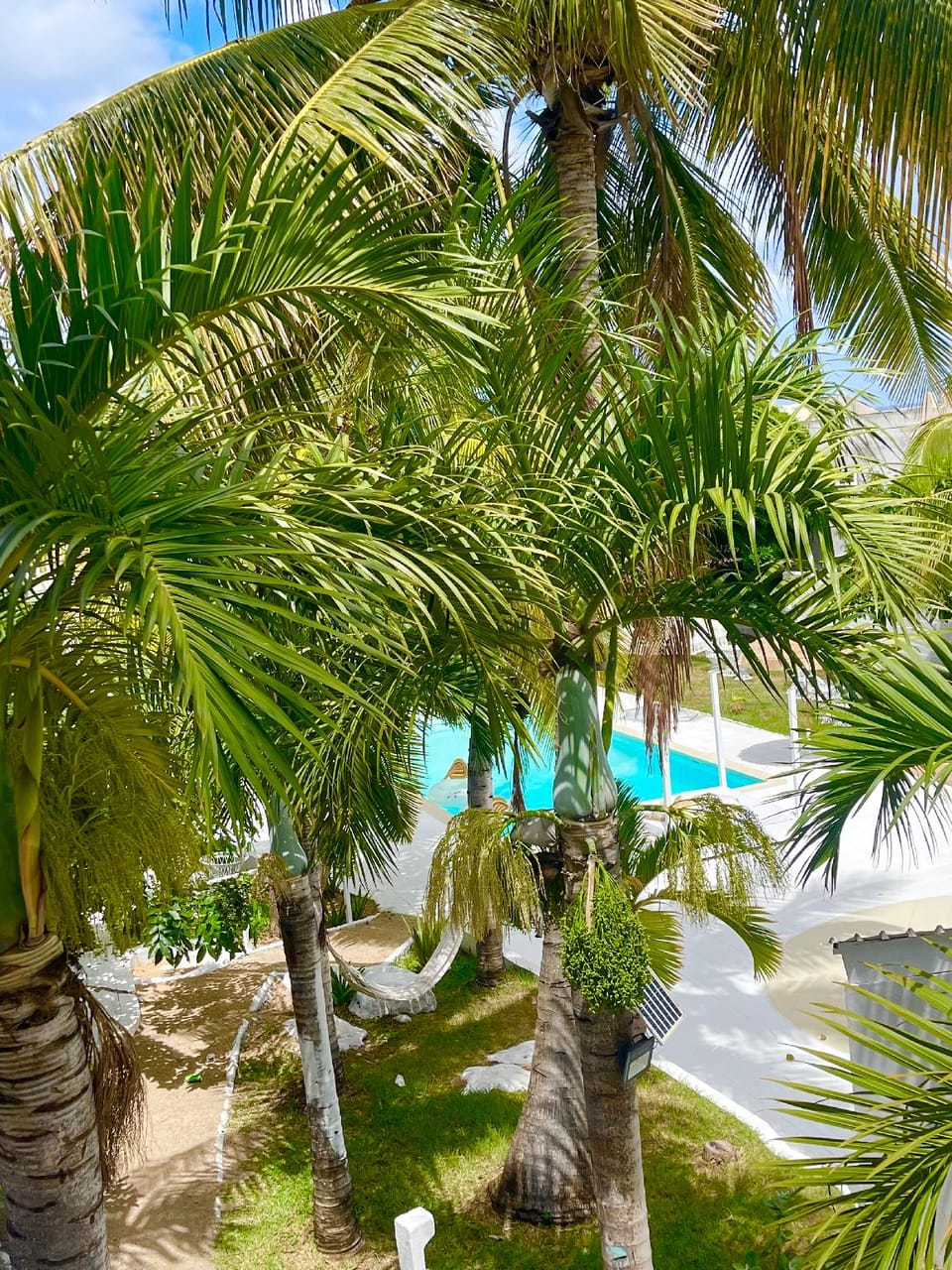 Cocoon Signature Palm Tree Garden Hotel in Flic en Flac