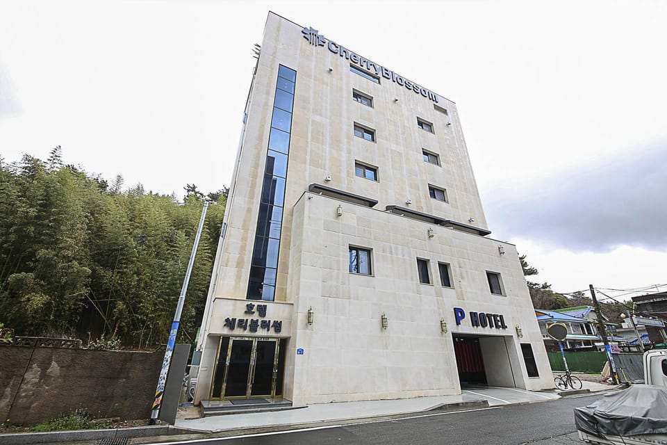 Changwon Jinhae Cherry Blossom Motel in South Korea