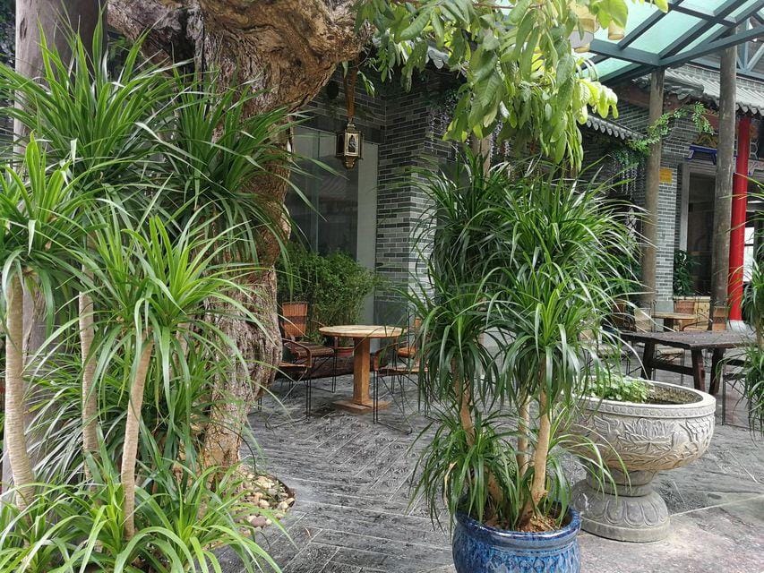 Aiheli Hotel Hotel in Laos