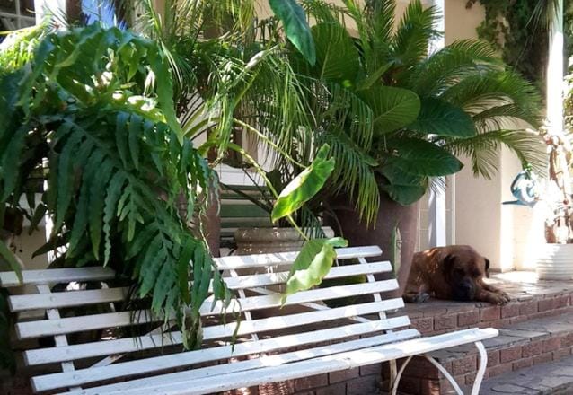 MAVILLA STELLENBOSCH B&B Hotel in Stellenbosch