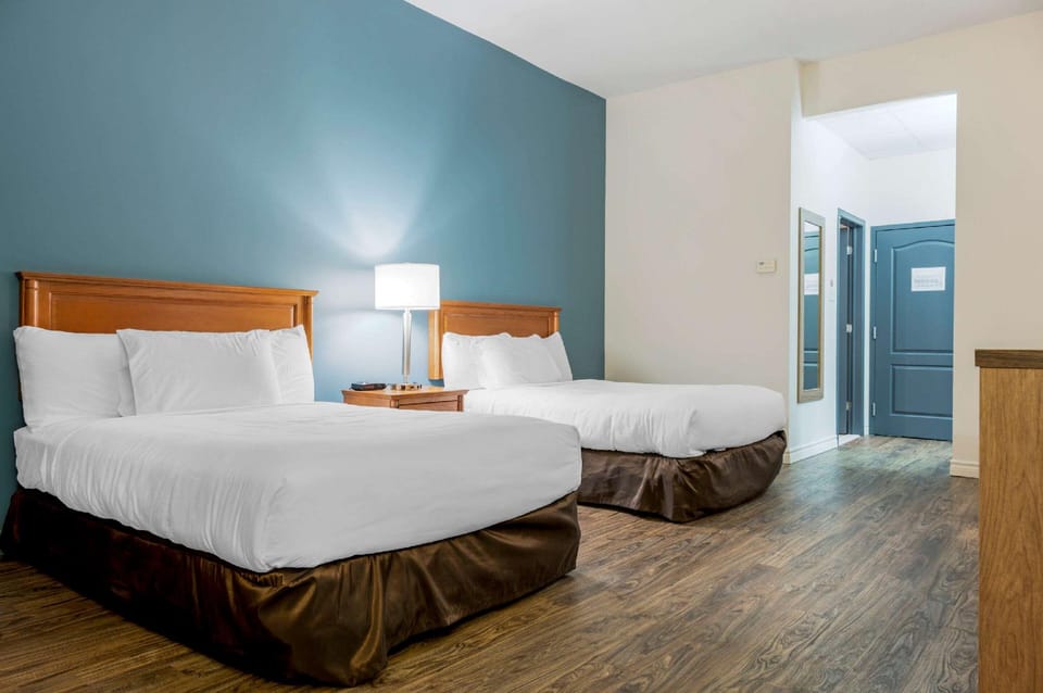 Suite room