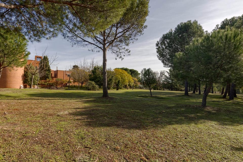Surrounding environment