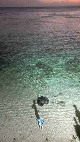 Kashiveli Omadhoo Hotel in Maldives