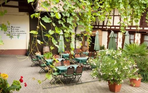 Weingut und Gastehaus Vongerichten Hotel in Rhineland-Palatinate