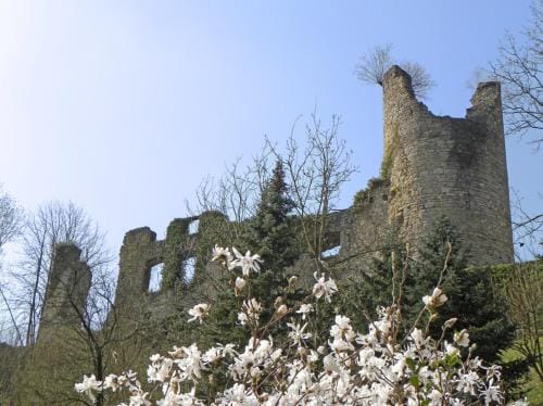 Les Dames de la Montagne Hotel in Saarland, 66, Germany