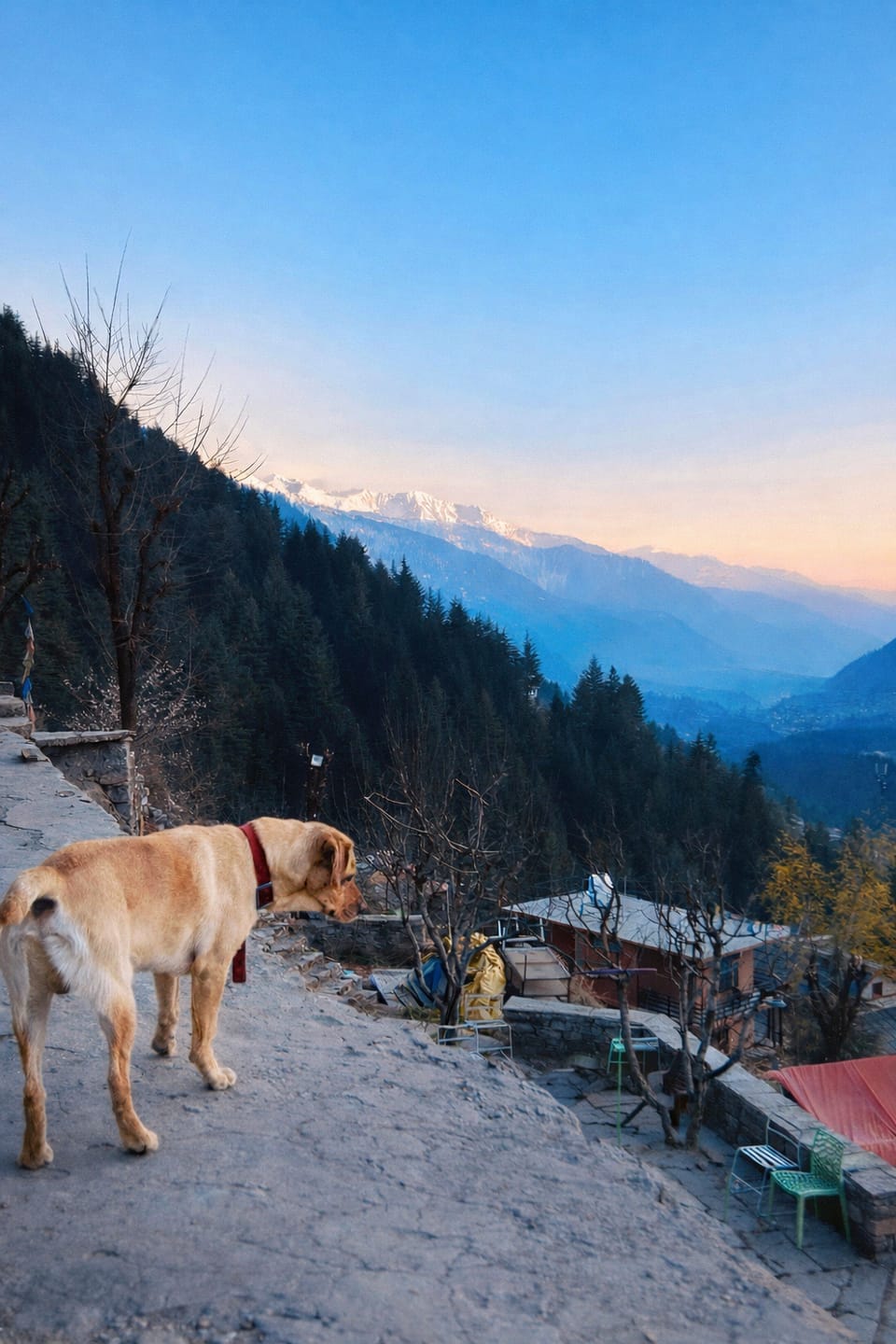 Samora Retreats Resort in Himachal Pradesh
