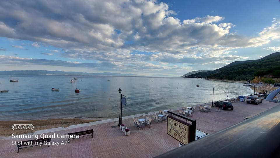 Delfinia Studios Hotel in Magnesia Prefecture, Greece