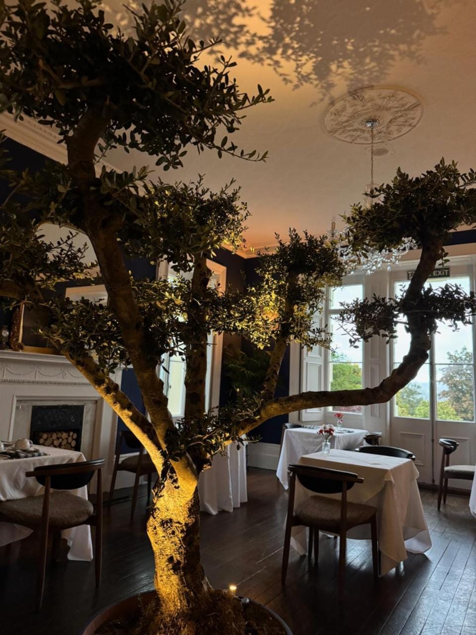 The Falcondale Country House Hotel Hotel in Wales