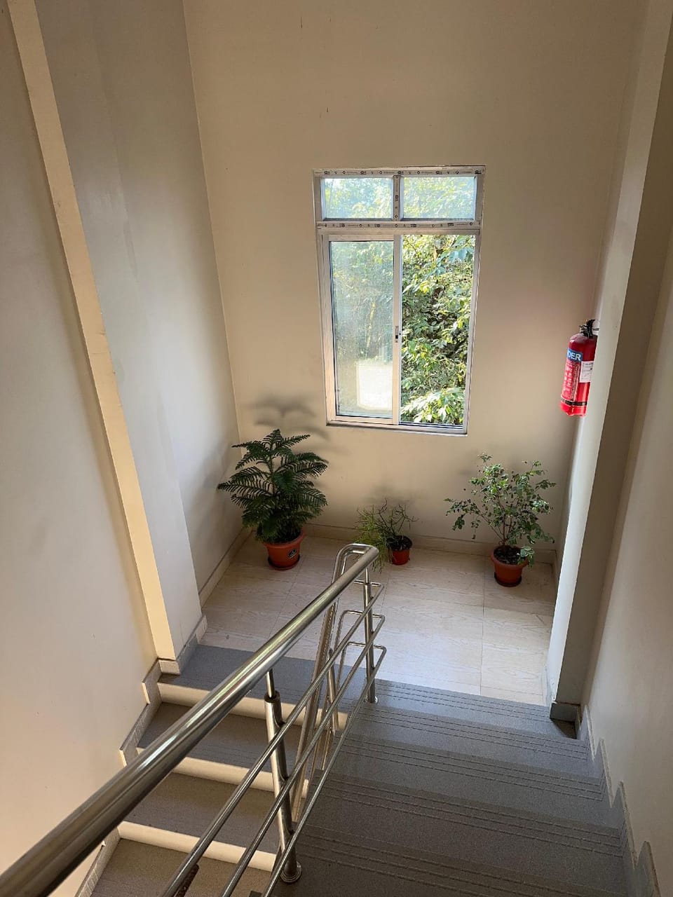 Hotel Basera Hotel in Darjeeling