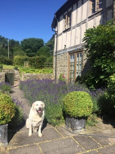Lower House Farm B&B, Herefordshire Hotel in Wales