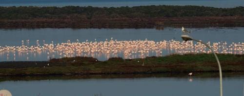 Cinema House Apartments Hotel in Orbetello