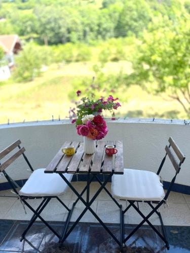 Visitor Yard Hotel in Montenegro