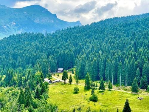 Triangle Woodhouse Lodge in Montenegro