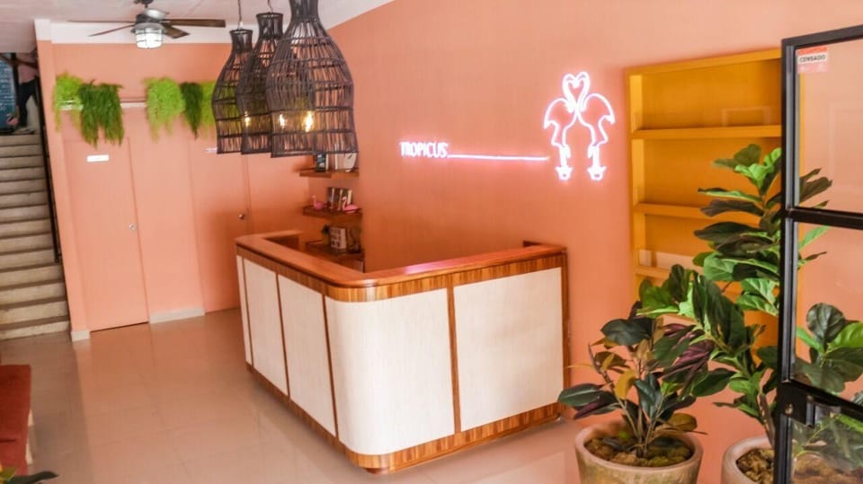 Hotel Tropicus Boutique Hotel in Puerto Vallarta