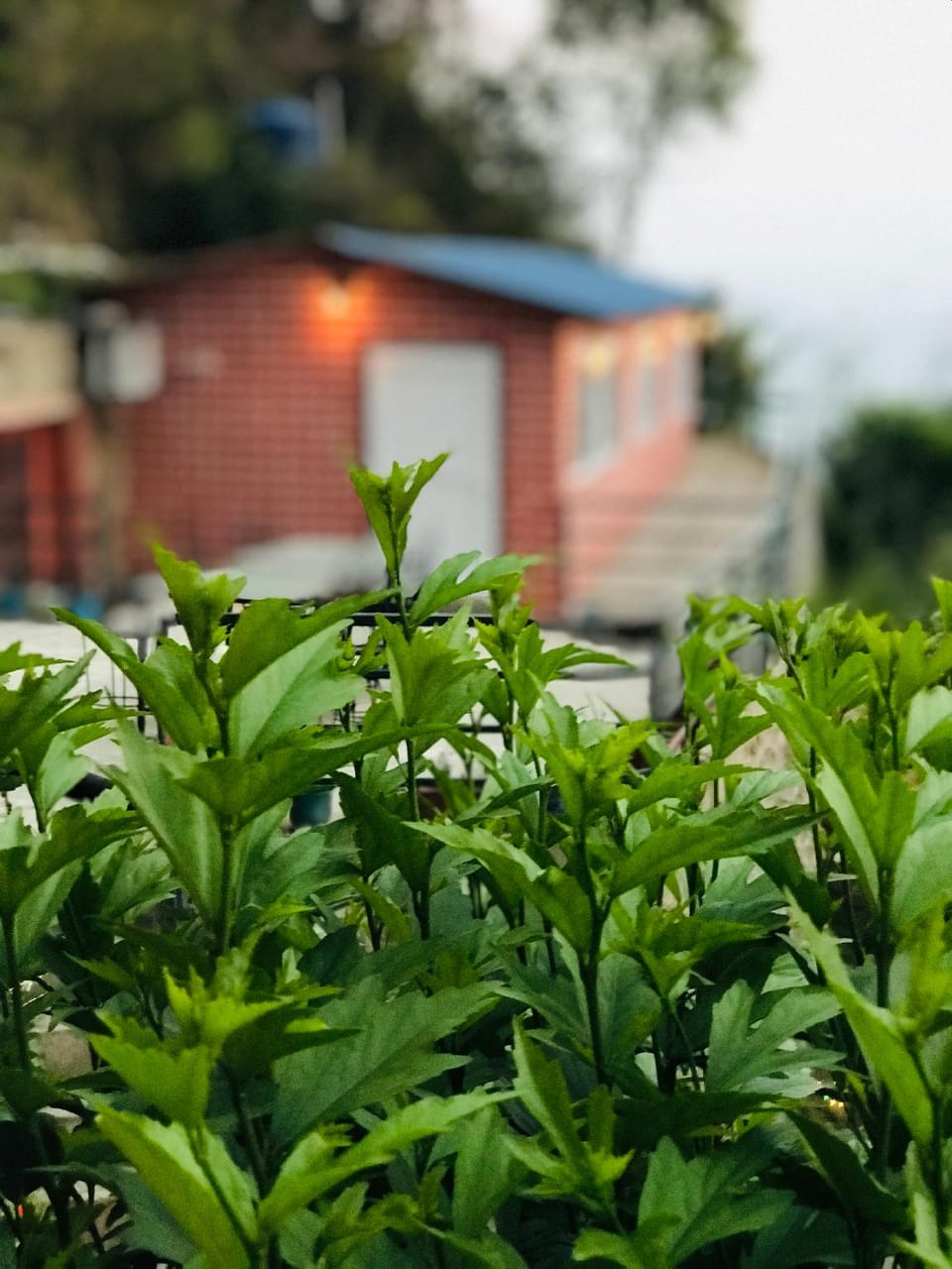 Mita Hotel  Hotel in Bagmati Province, Nepal