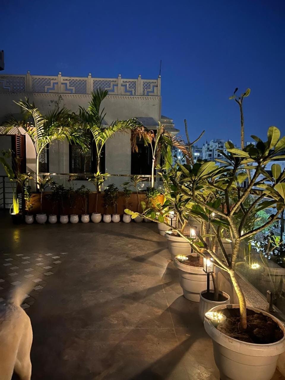 Misty BNb and Homestay Bed and Breakfast in Jaipur